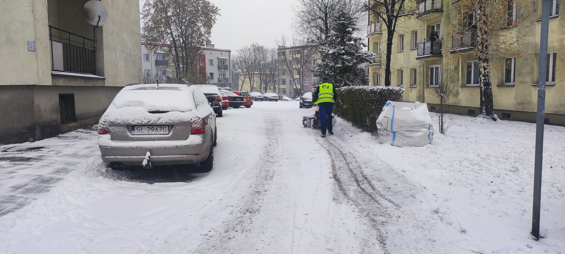 Pan szczotkowy w akcji