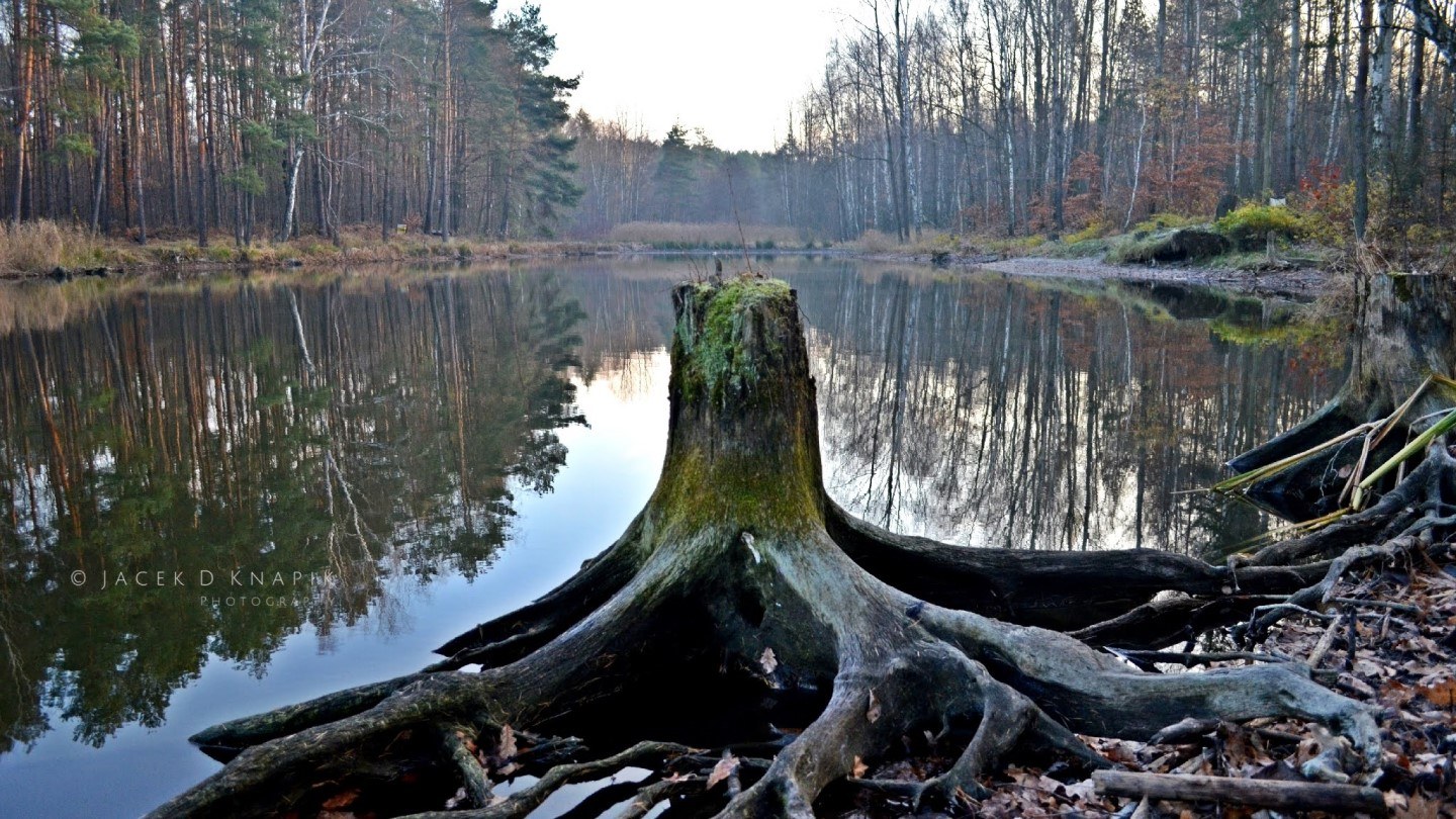 Przystań w Kochłowicach Rudzie Śląskiej