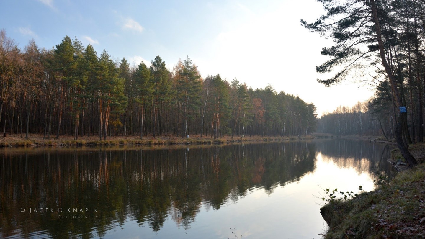 Przystań Kochłowice Ruda Śląska