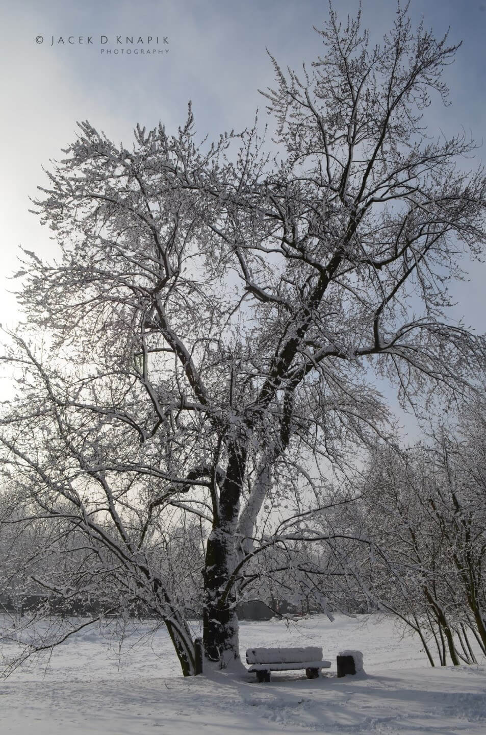 Ruda Śląska zimą 10