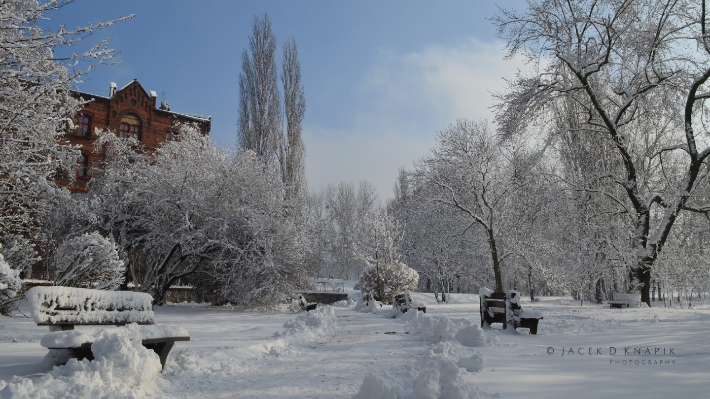 Ruda Śląska zimą 3