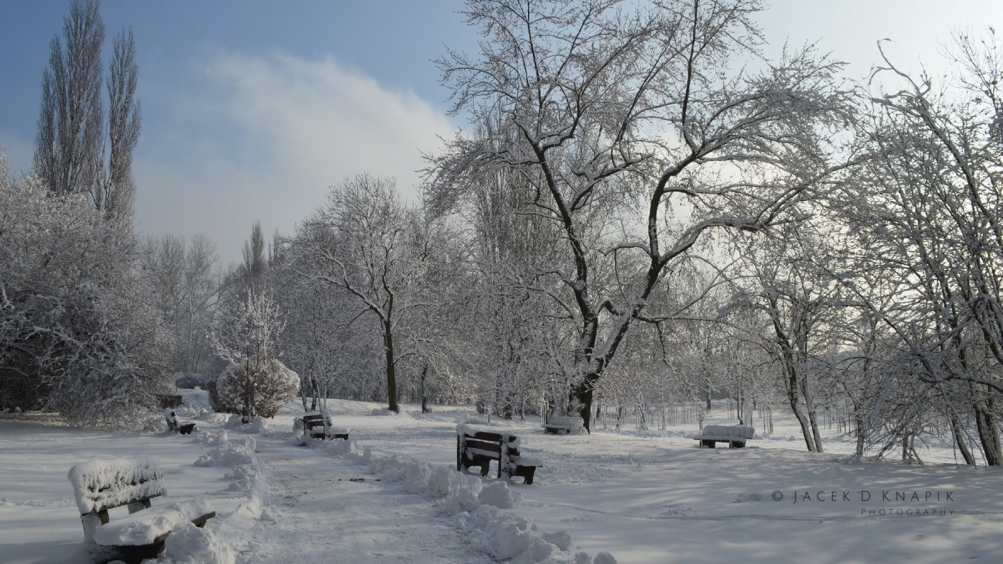 Ruda Śląska zimą 5