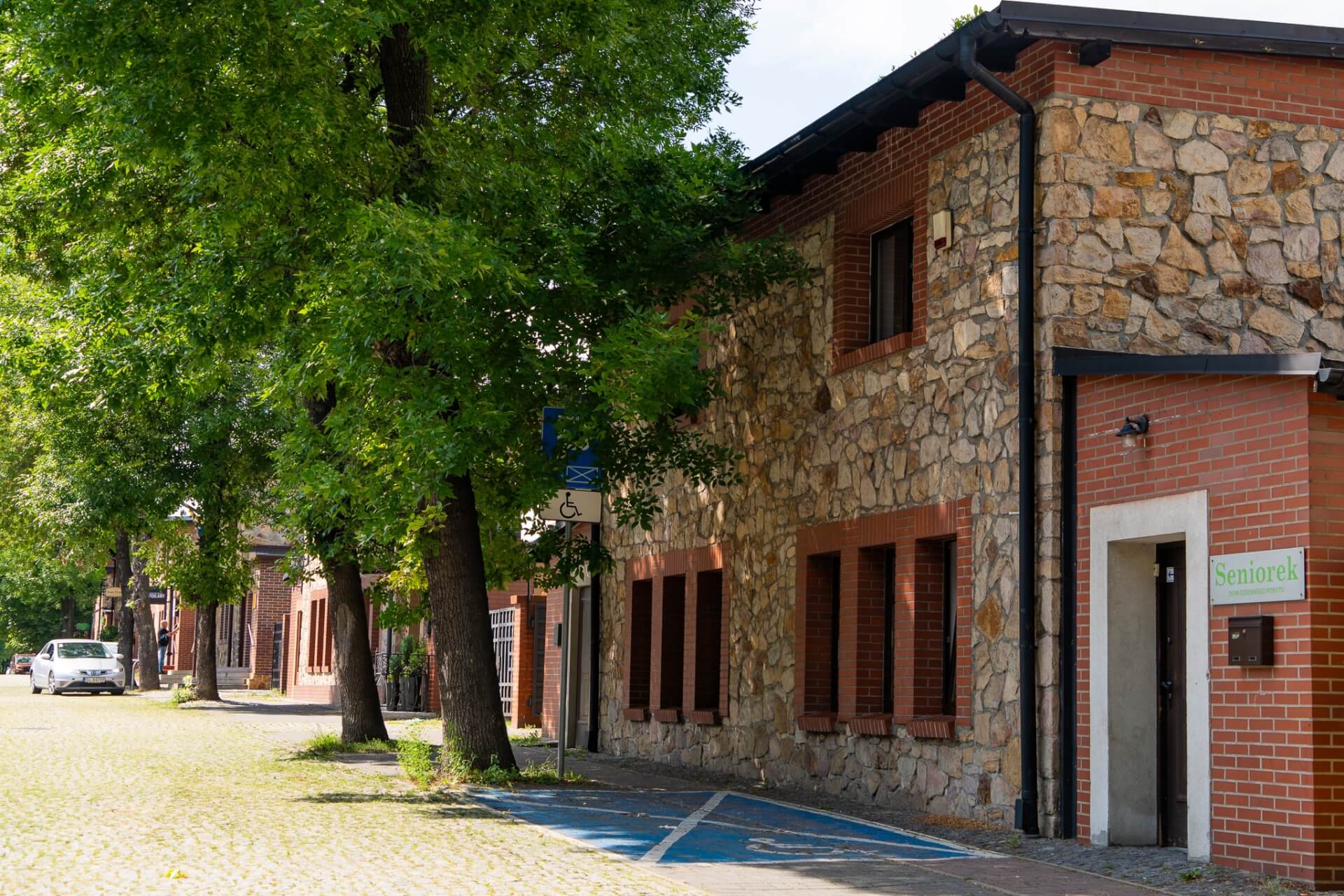2023 08 11 T Staniek ruda slaska ficinus 0005