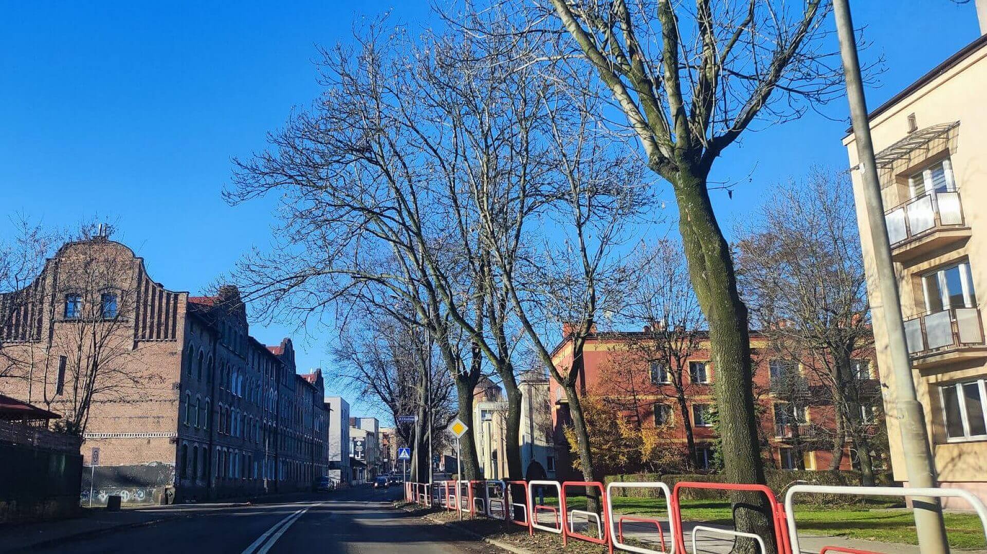 Piękną mamy wiosnę tej zimy :) Piękną mamy wiosnę tej zimy :)