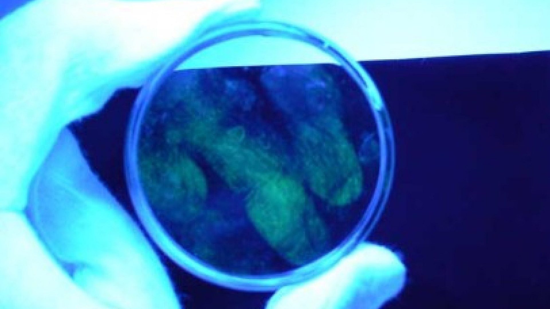 Po 12 latach, dzięki odciskom palców, złapano złodzieja Po 12 latach, dzięki odciskom palców, złapano złodzieja