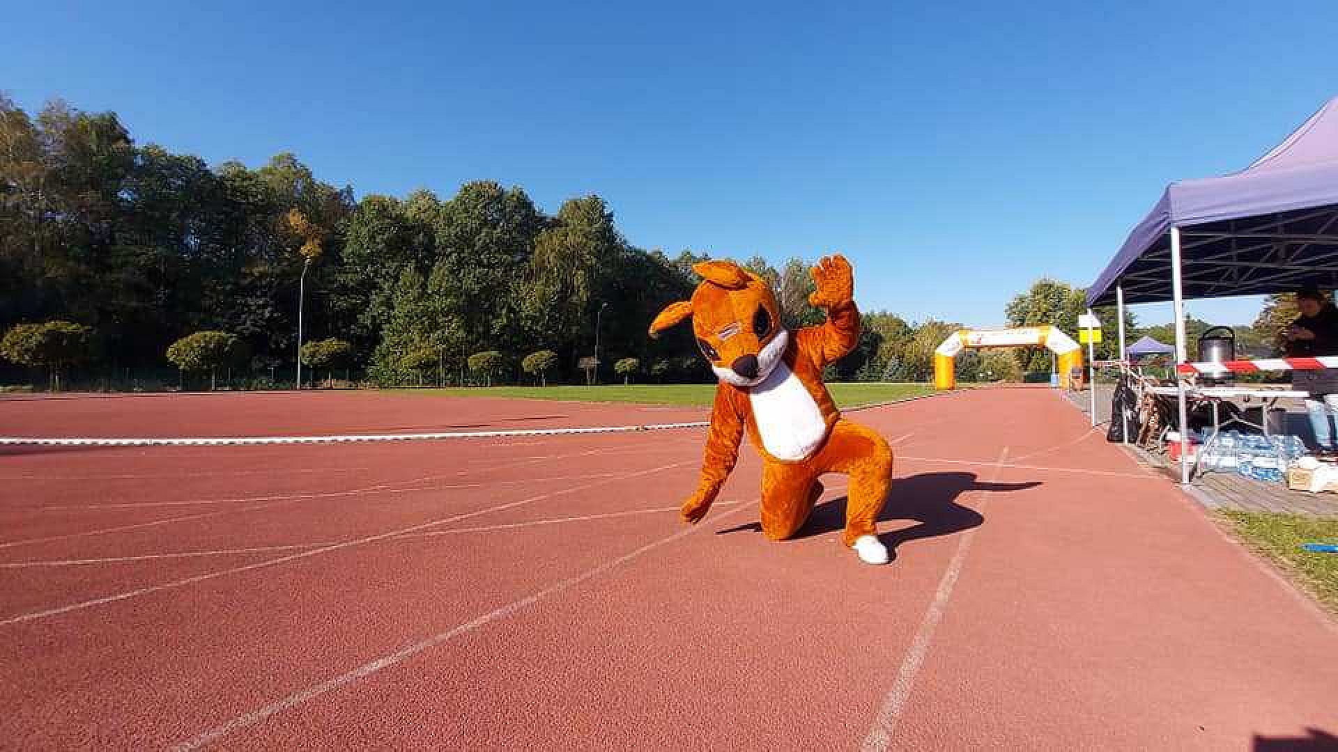 Bieg Wiewiórki Bieg Wiewiórki