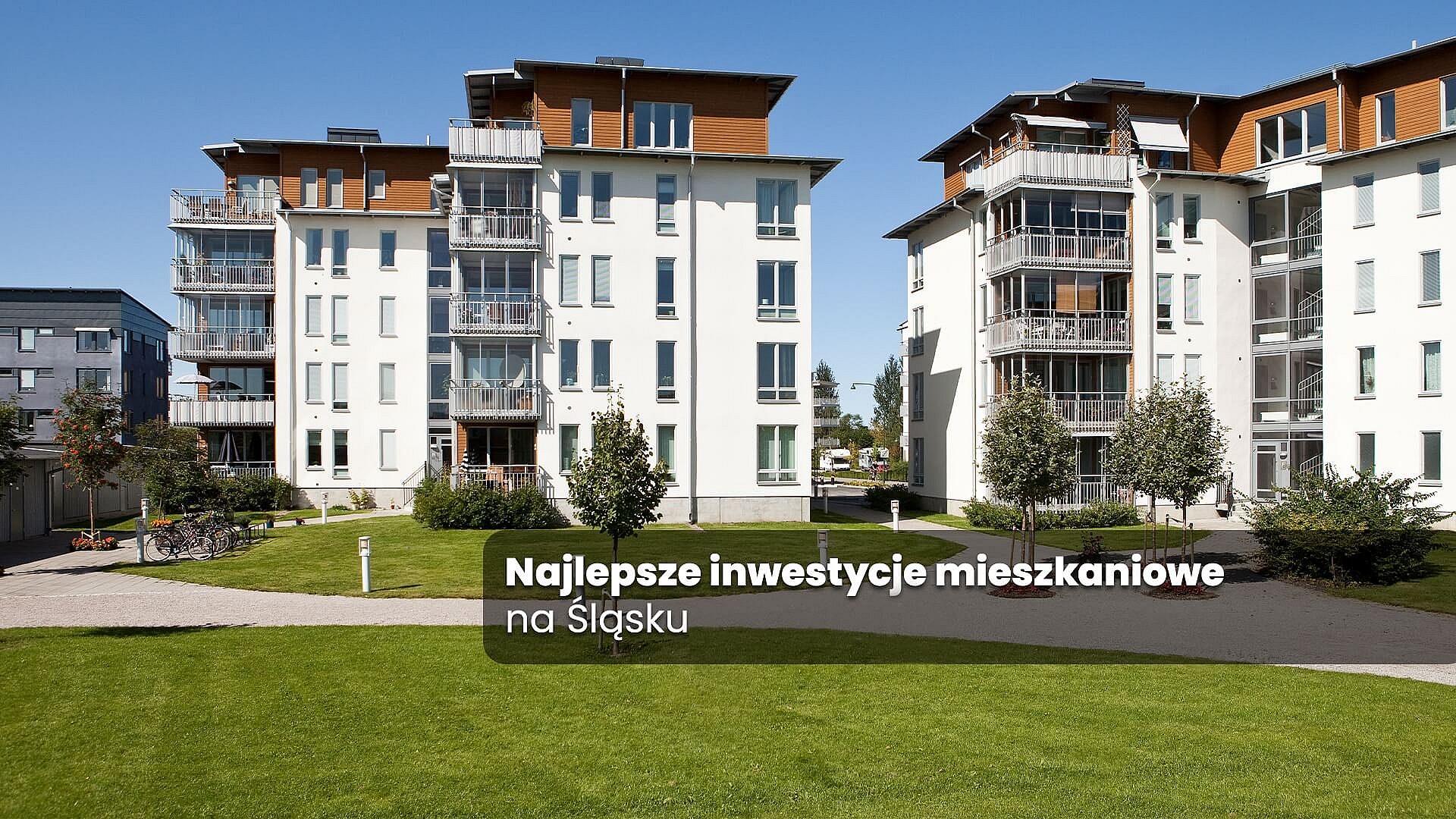 Zdjęcie Główne 1 Zdjęcie Główne 1