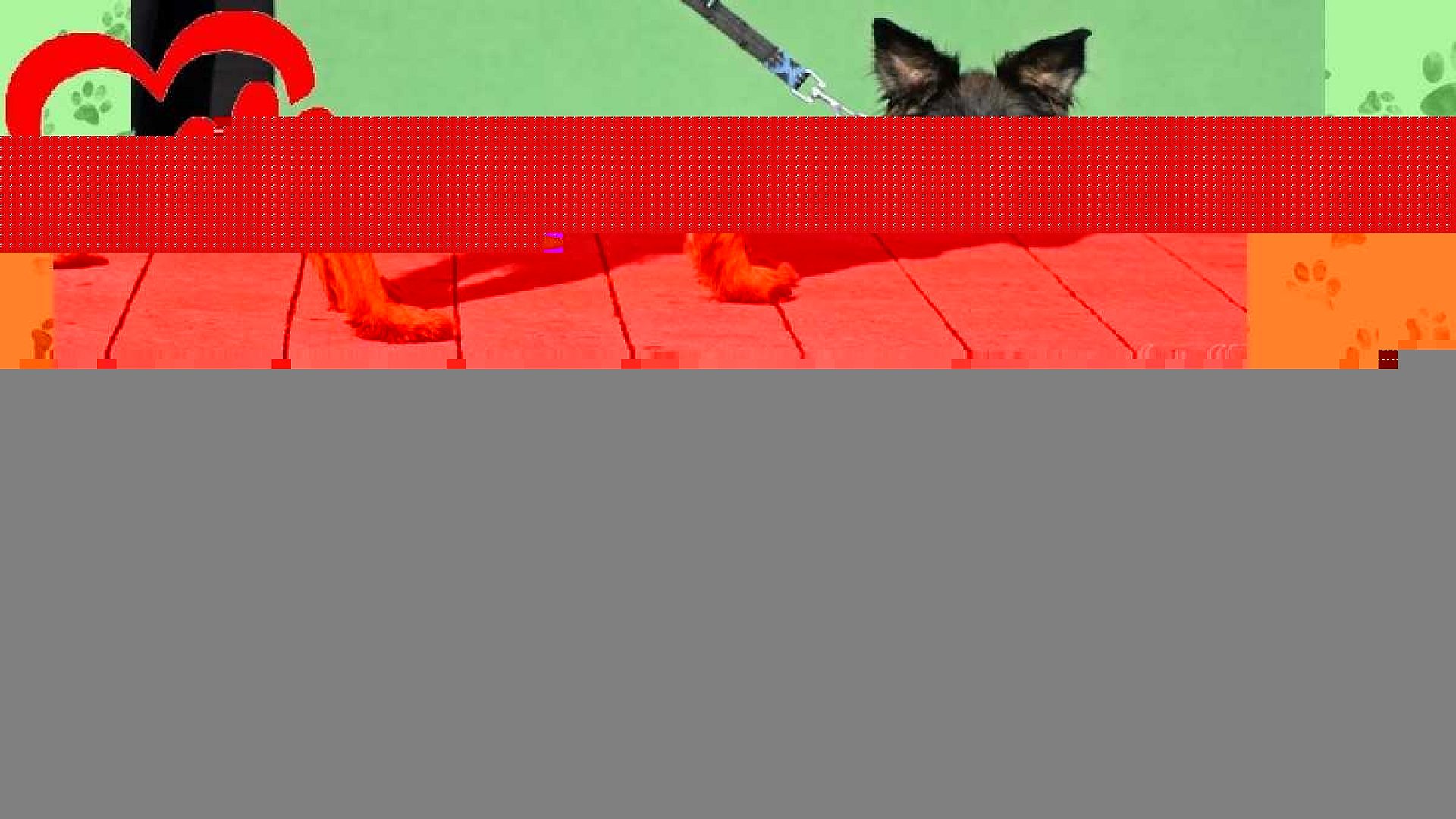 Fiona wirt Fiona wirt