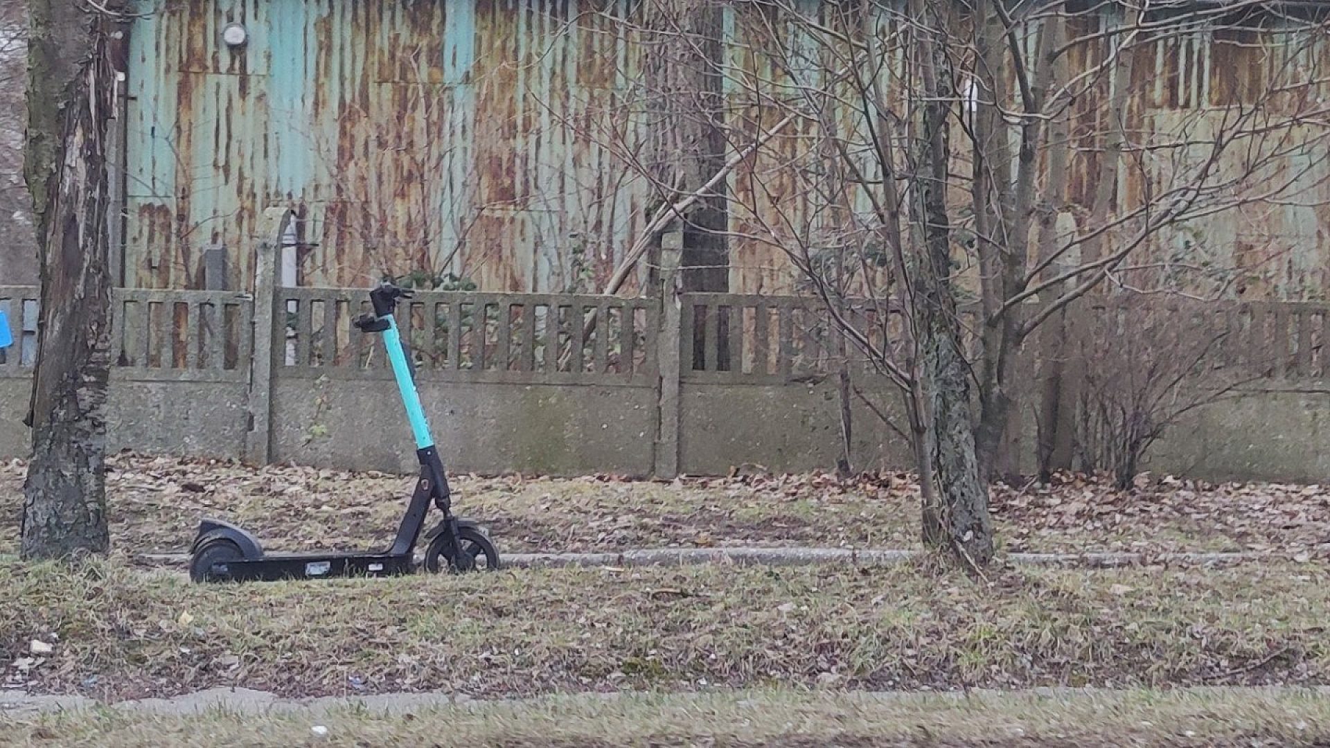 Hulajnogą z promilami - to zaczyna być plagą Hulajnogą z promilami - to zaczyna być plagą