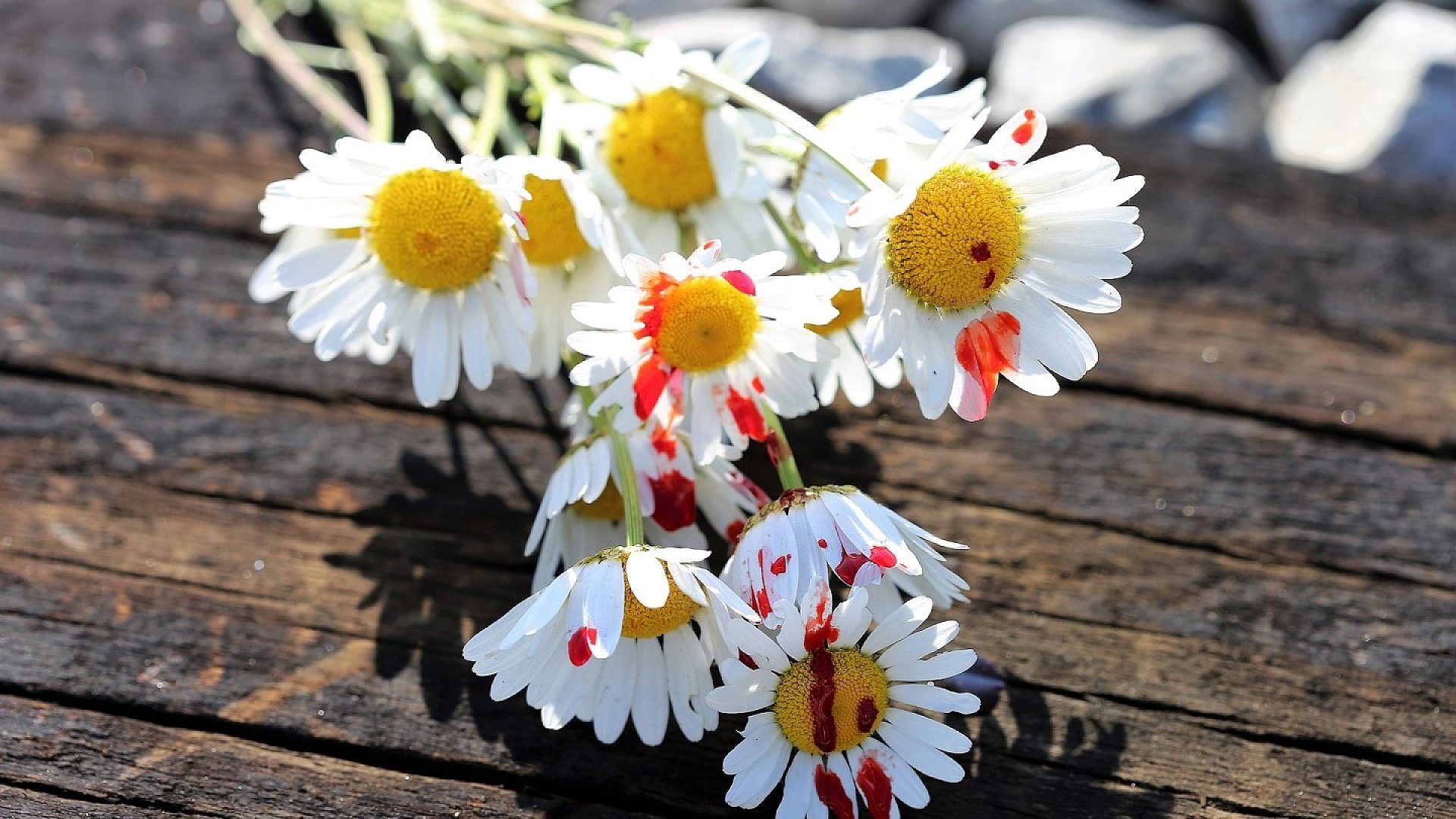 48-latek nękał swoją byłą. Wreszcie nie wytrzymała 48-latek nękał swoją byłą. Wreszcie nie wytrzymała