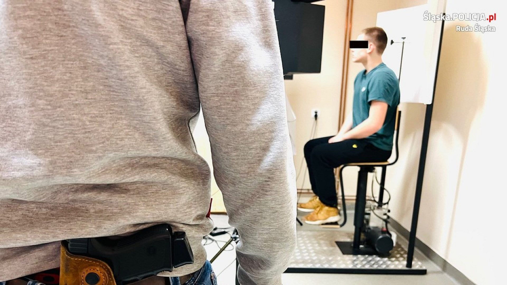 Rozbojarz ruda śląska Rozbojarz ruda śląska