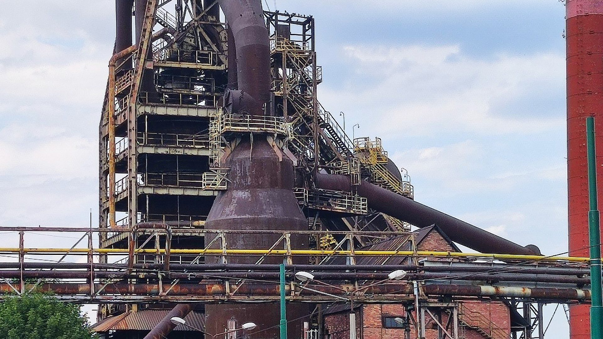 Wielki pien fryna Wielki pien fryna