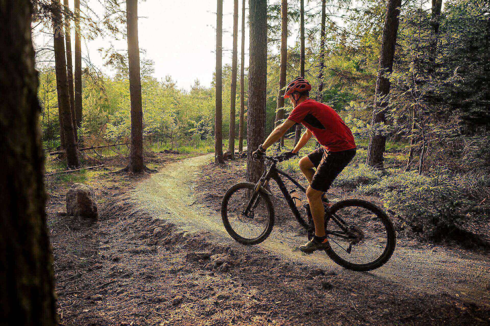 Matrix Media zdjęcie główne Matrix Media zdjęcie główne