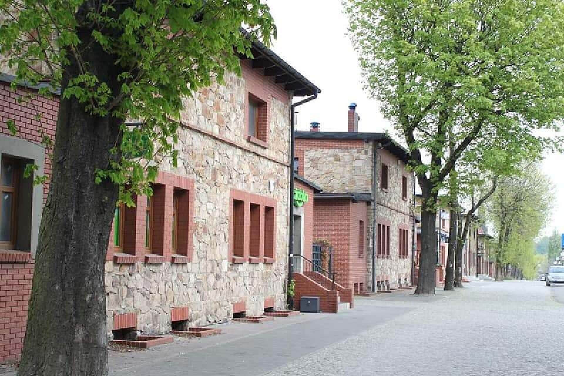 Wirek Ficinus Wirek Ficinus