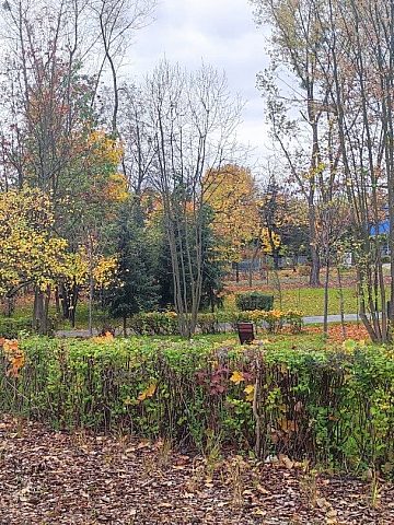 Nowe alejki, siłownia pod chmurką i plac zabaw - warto odwiedzić Nowe alejki, siłownia pod chmurką i plac zabaw - warto odwiedzić
