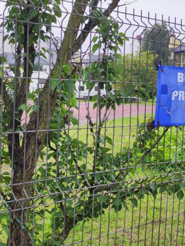 ...chociaż należy do miasta ...chociaż należy do miasta