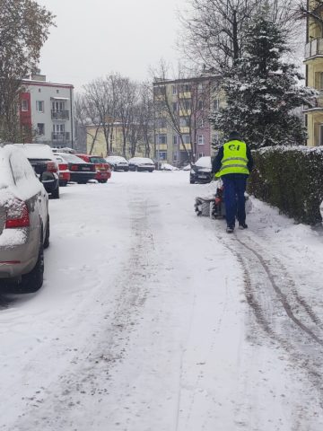 Pan szczotkowy w akcji Pan szczotkowy w akcji