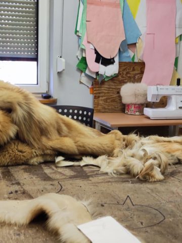 Kitka pilnuje warsztatu Kitka pilnuje warsztatu