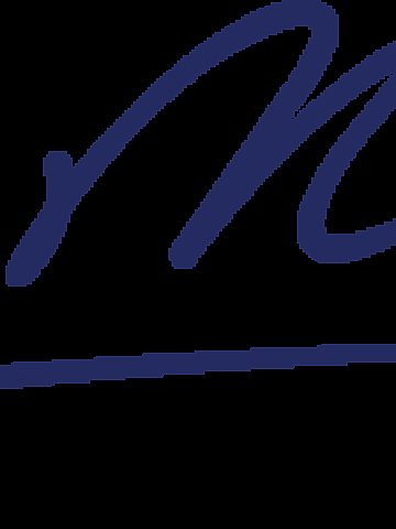 Bel Mare logo Bel Mare logo