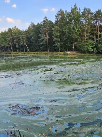 Zielono mi... i niebiesko... Zielono mi... i niebiesko...