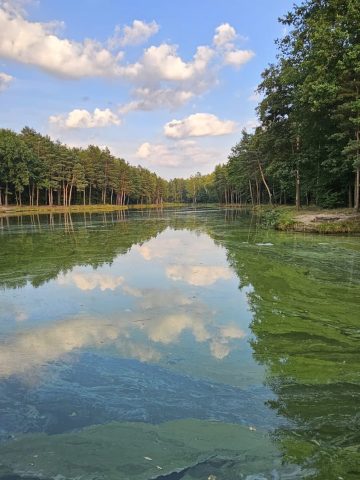 Awaria przyłącza, pompy i upały - dały efekt Awaria przyłącza, pompy i upały - dały efekt