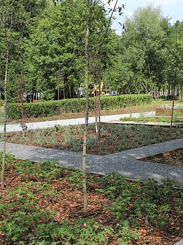 Sporo zieleni i ławeczek - można przyjść i się zrelaksować Sporo zieleni i ławeczek - można przyjść i się zrelaksować