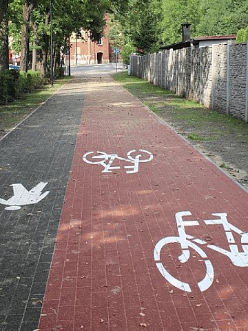 Ścieżkami rowerowymi można zwiedzić cały Trakt Rudzki Ścieżkami rowerowymi można zwiedzić cały Trakt Rudzki