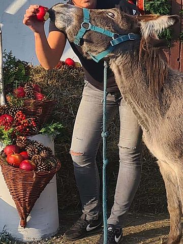 Osiołek fundacji to dusza towarzystwa Osiołek fundacji to dusza towarzystwa