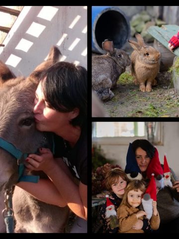 Przystanek Akuku, to miejsce relaksu i zapomnienia Przystanek Akuku, to miejsce relaksu i zapomnienia