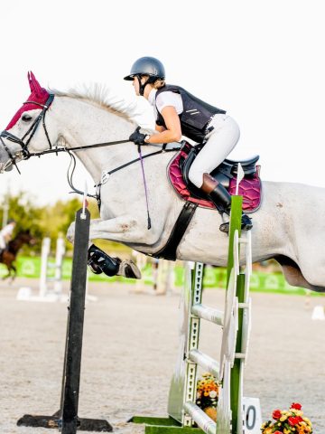 359905069 777319667406992 1565732121802461863 n 359905069 777319667406992 1565732121802461863 n