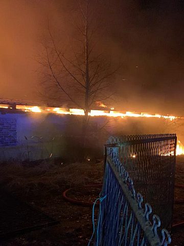 W akcji gaśniczej wzięło udział pięć zastępów PSP i OSP z Rudy Śląskiej W akcji gaśniczej wzięło udział pięć zastępów PSP i OSP z Rudy Śląskiej