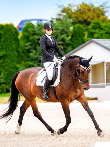 97 AC936 F C160 4219 BBEF 82546 BDB19 EA 97 AC936 F C160 4219 BBEF 82546 BDB19 EA