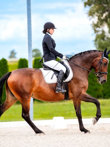 0 C4 C67 D4 3595 4401 8 B4 B 25 F90 DC91460 0 C4 C67 D4 3595 4401 8 B4 B 25 F90 DC91460