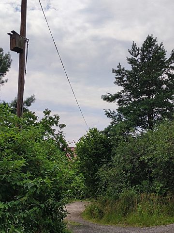 Znikną karmiki na każdym słupie? Znikną karmiki na każdym słupie?