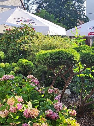 Poza zielenią będzie scena i plac zabaw Poza zielenią będzie scena i plac zabaw