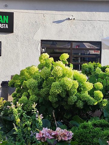 Amori Pomodori mieści się w dawnej "Wieży" Amori Pomodori mieści się w dawnej "Wieży"