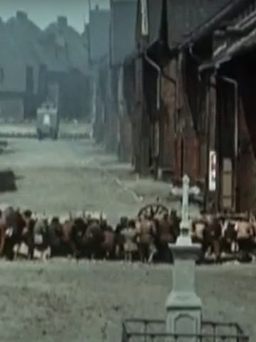 Kadr z filmu "Sól ziemi czarnej" Kadr z filmu "Sól ziemi czarnej"