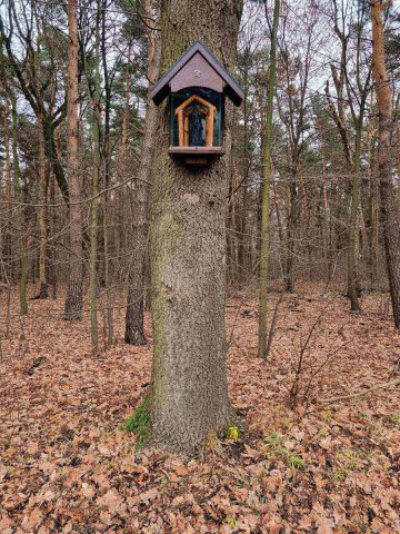 Korytarz mikołowski 02 Korytarz mikołowski 02