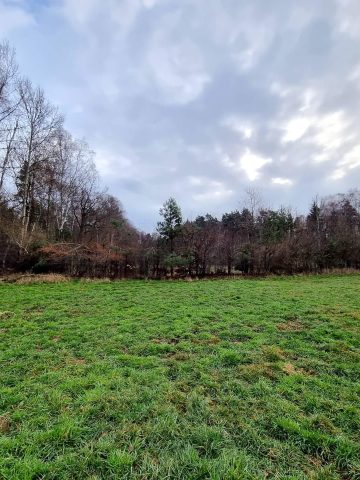 Korytarz mikołowski 08 Korytarz mikołowski 08