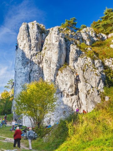 Wspinaczka Dolina Bolechowicka Wspinaczka Dolina Bolechowicka
