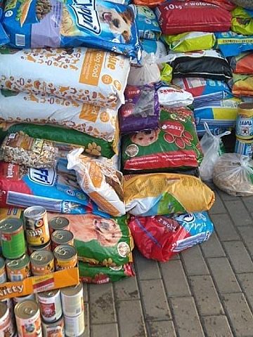 Dzięki ludziom o wielkich sercach udaje się wesprzeć rudzkie schronisko Dzięki ludziom o wielkich sercach udaje się wesprzeć rudzkie schronisko