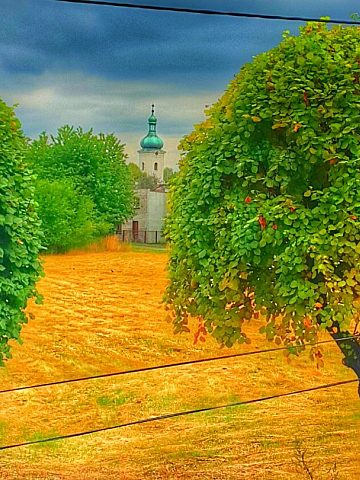 Artystyczna wizja - drzewa po wymodelowaniu lata temu... Artystyczna wizja - drzewa po wymodelowaniu lata temu...