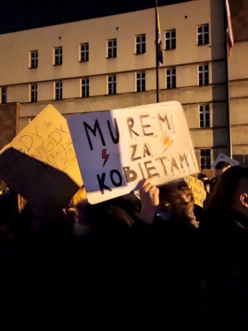 Manifestacja2 Manifestacja2