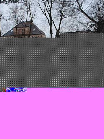 Plantykoch1 Plantykoch1