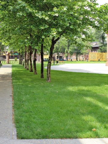 Rynek orzegow 1 Rynek orzegow 1