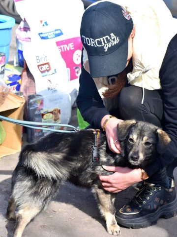 Serce pęka na widok samotnych zwierzaków Serce pęka na widok samotnych zwierzaków