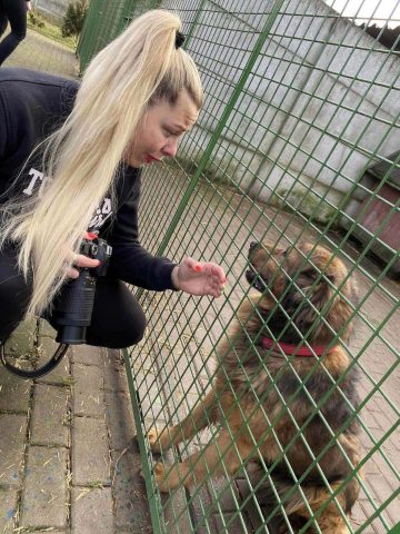 Zakochaj się w psiaku walentynki20 Zakochaj się w psiaku walentynki20
