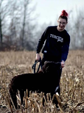 Zakochaj się w psiaku walentynki24 Zakochaj się w psiaku walentynki24