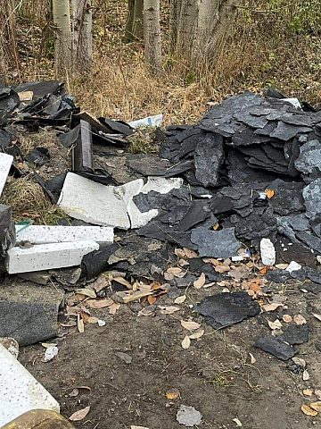 Dzikie wysypisko niedaleko Kochłówki w Rudzie Śląskiej Dzikie wysypisko niedaleko Kochłówki w Rudzie Śląskiej