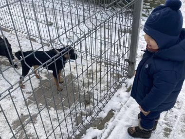 Rudzianie zapraszają do zbiórki na nasze schronisko Rudzianie zapraszają do zbiórki na nasze schronisko